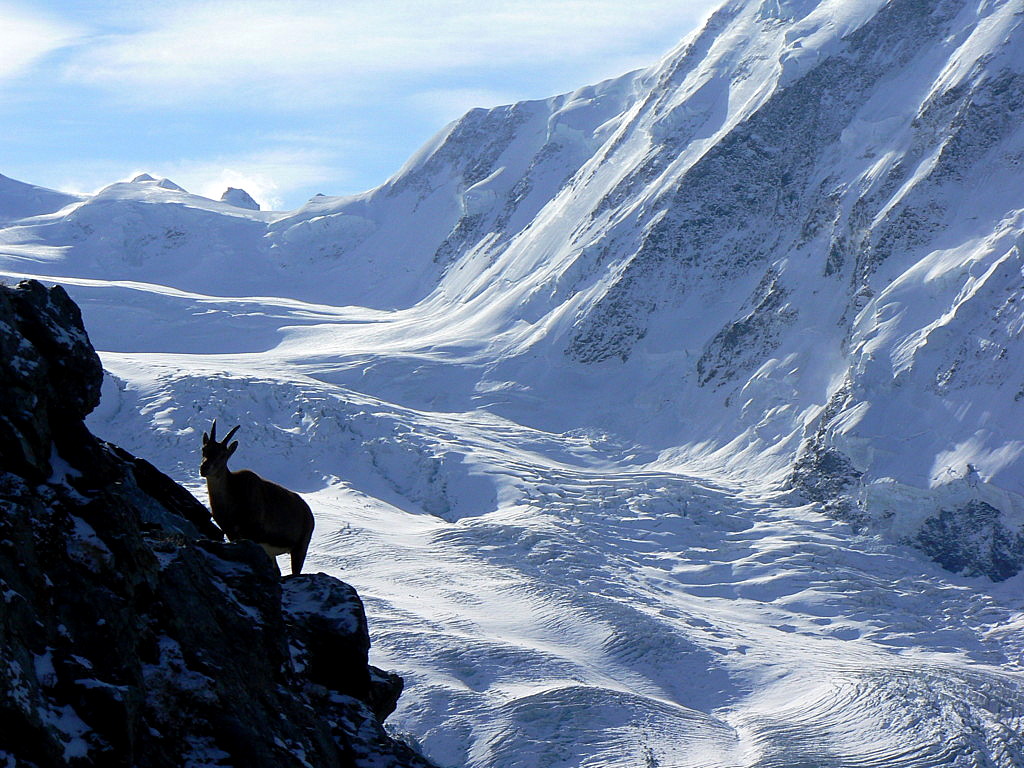 Zermatt
